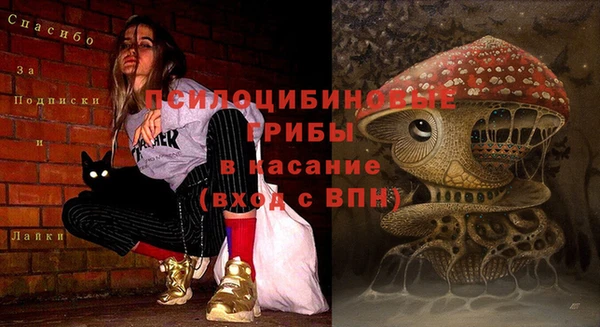 ALPHA PVP Алексеевка