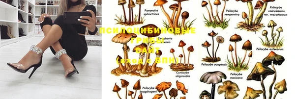 кокаин премиум Алексин