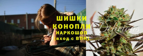 амф Алзамай