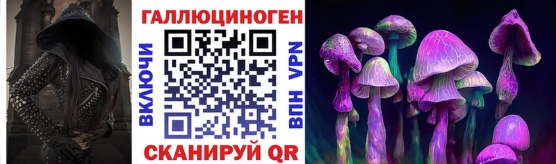 Галлюциногенные грибы Psilocybe  продажа наркотиков  Пермь 